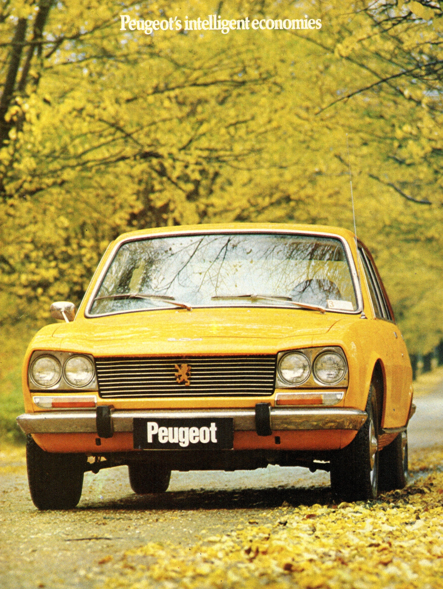 1975 Peugeot 504 Page 2
